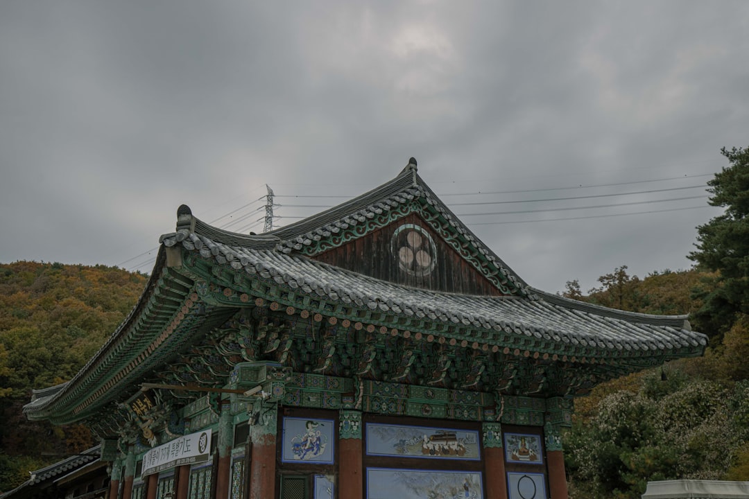 당근마켓 앱 화면을 보고 있는 외국인의 손. 다양한 중고 물품들이 보이는 앱 피드.
