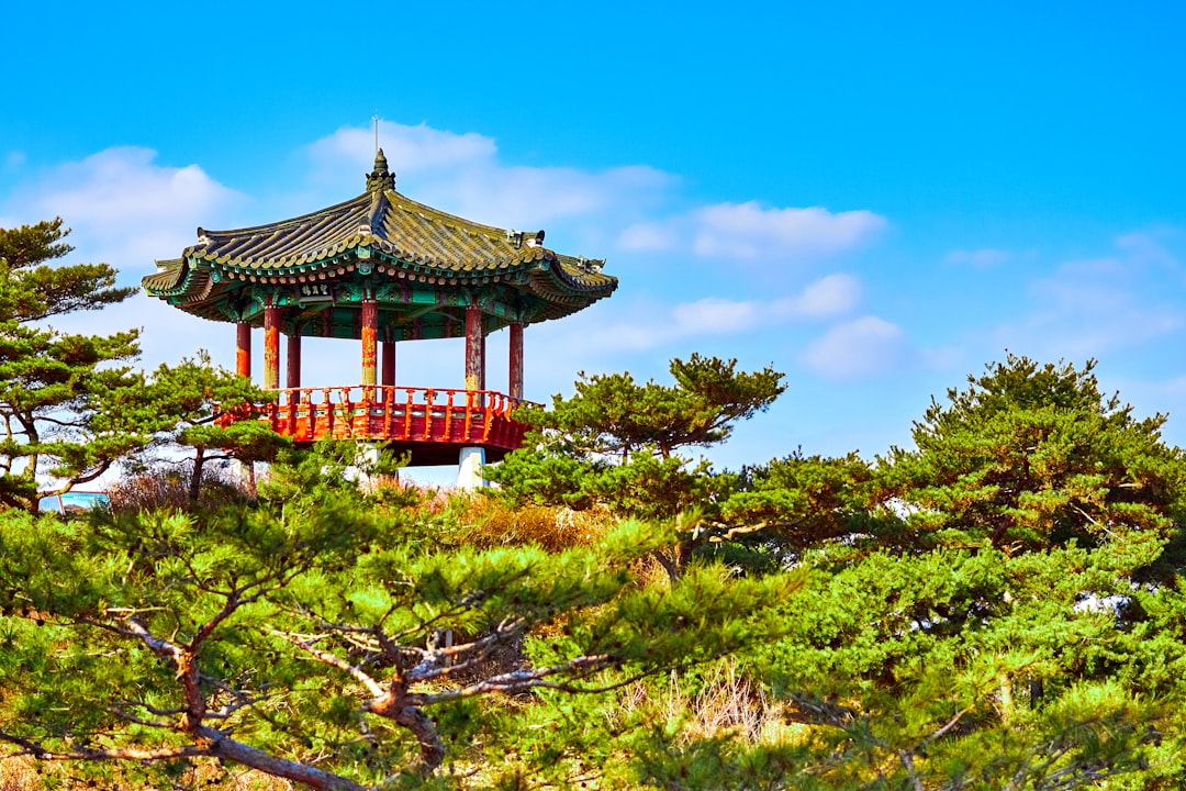 대한민국에서 해외로 나가는 화살표가 그려진 지도 이미지