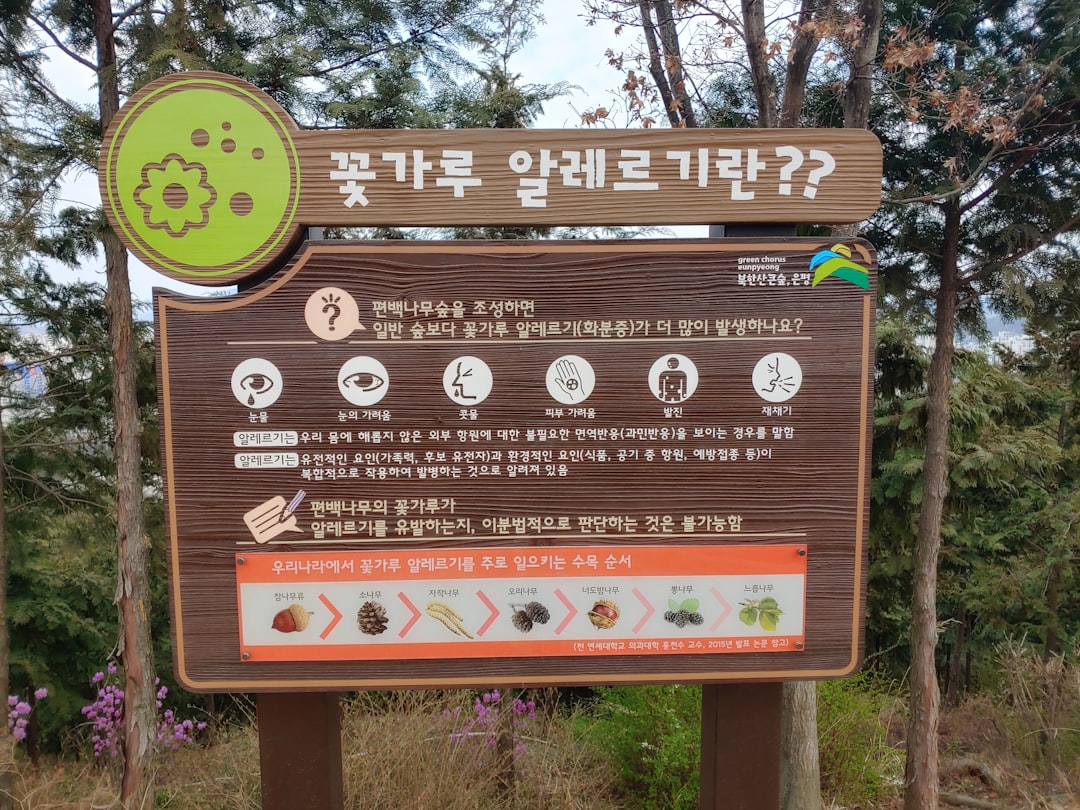 외국인 전세 관련 통계 증가를 보여주는 인포그래픽
