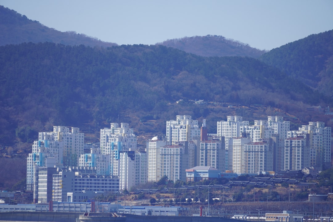 F-4 비자 전환에 필요한 여러 서류들