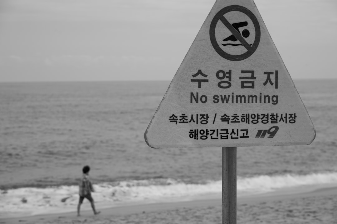 하이코리아 웹사이트를 통한 F-4 비자 온라인 신청