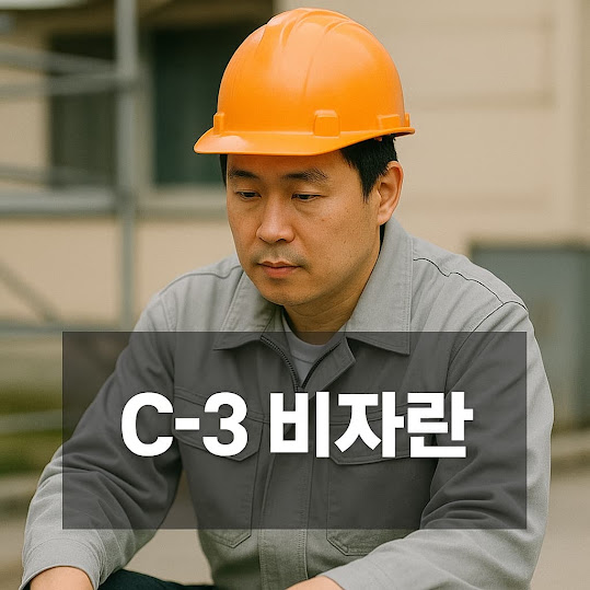 c-3비자란