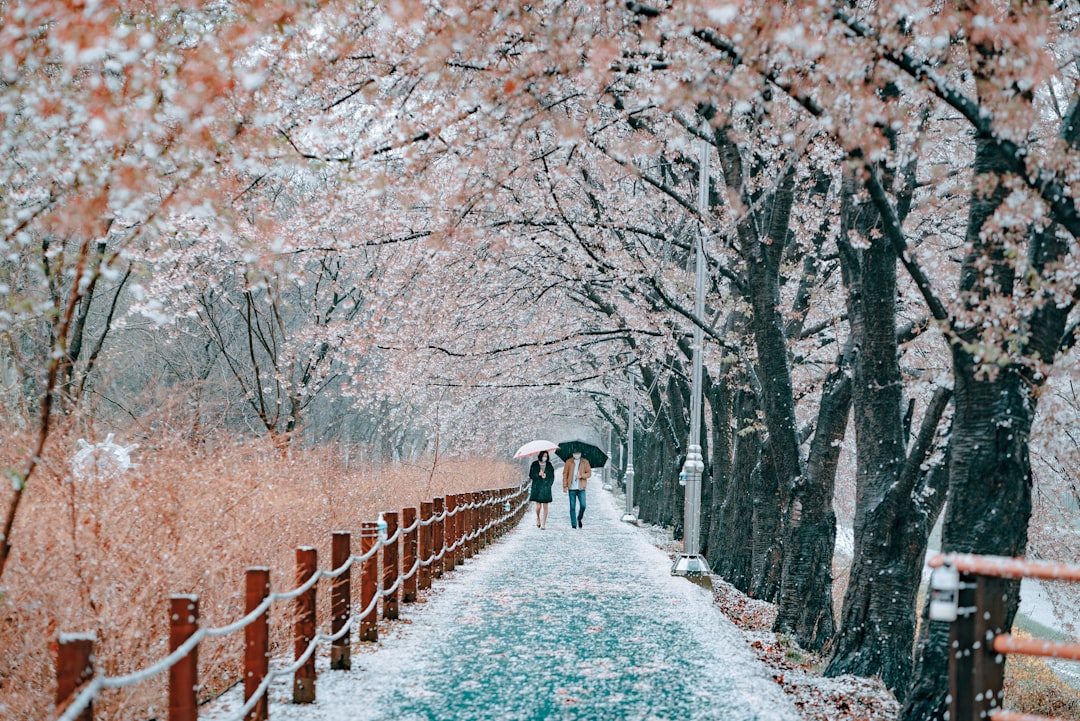 혼인신고 절차와 준비서류